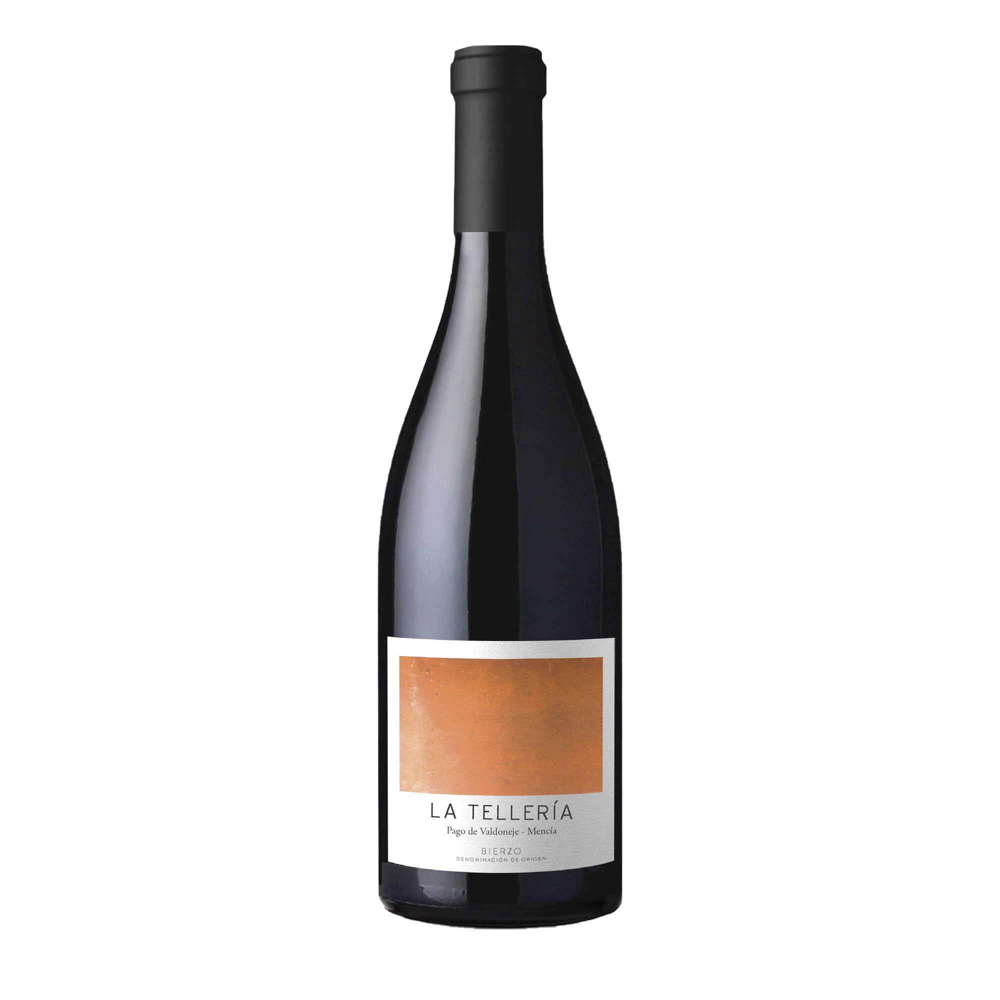 la-telleria-vinos-valtuille-vino-do-bierzo
