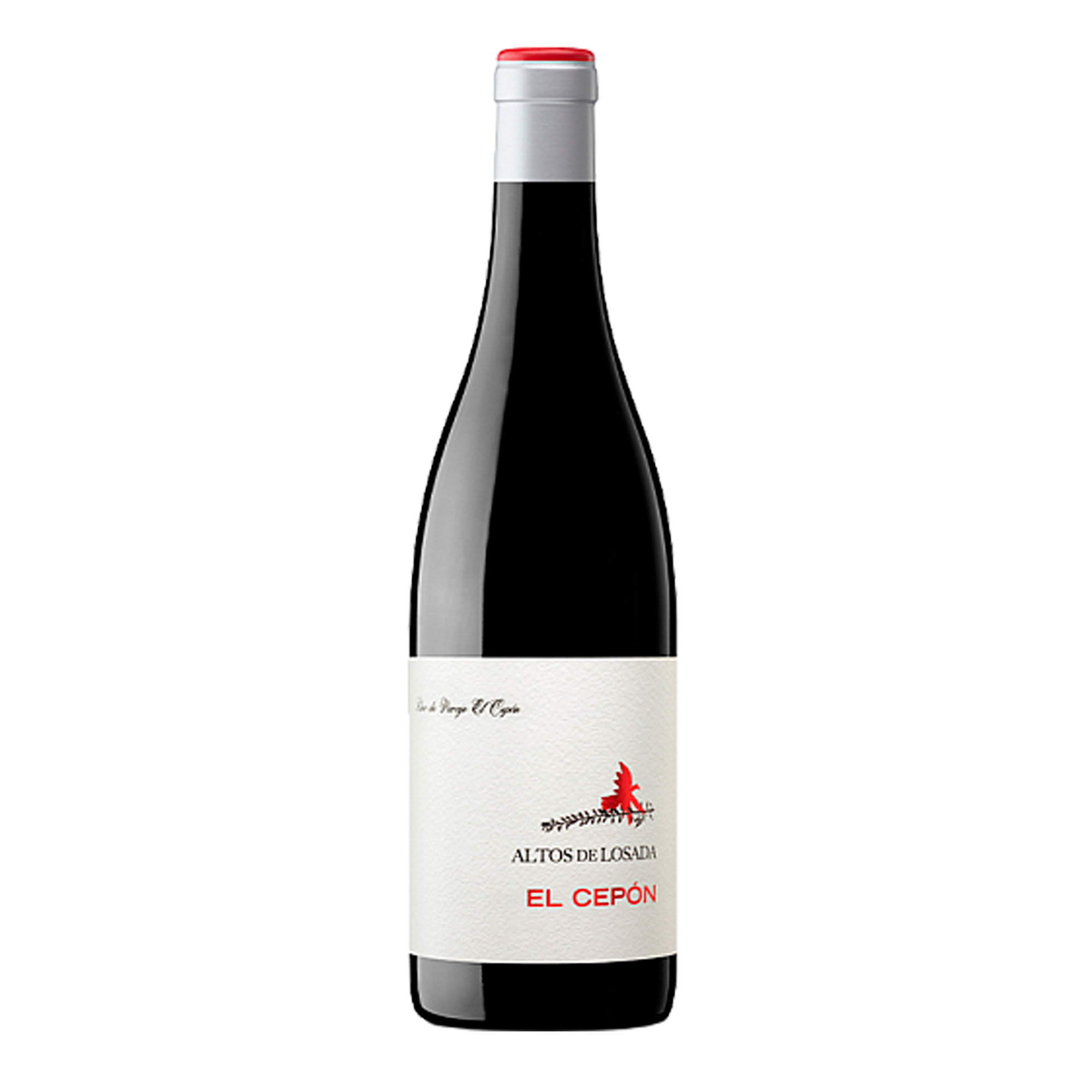 el-cepon-vino-do-bierzo El cupón de Losada